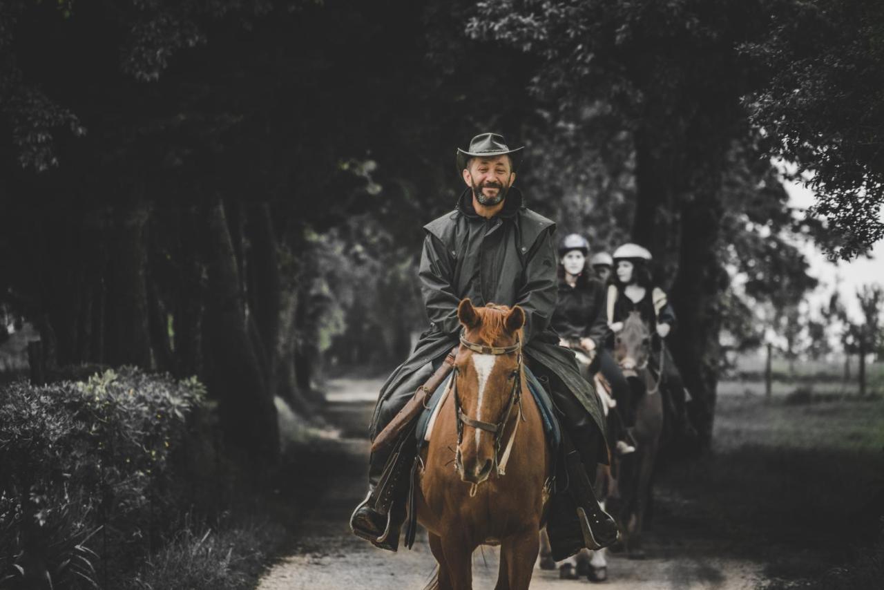 Glamping In Toscana, Luxury Tents In Agriturismo Biologico Sorano  Extérieur photo